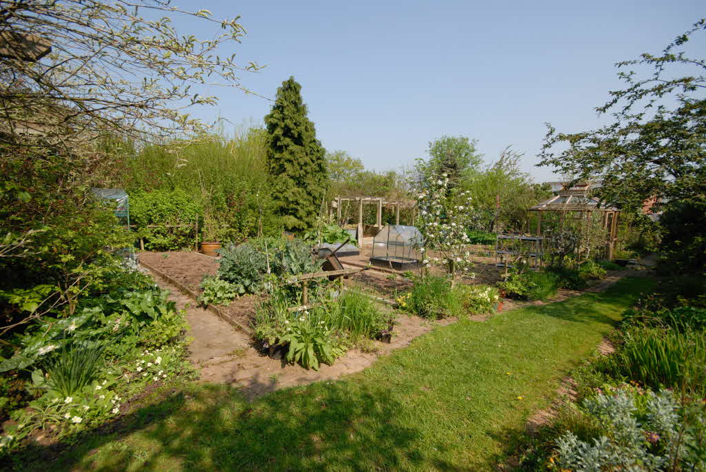 Veg garden